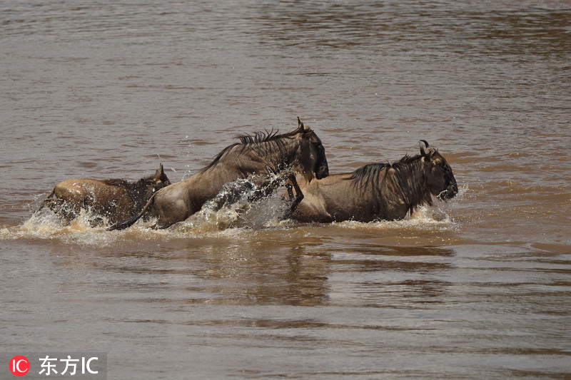 脑机;接<口>概念龙头股持续走强 6股获机构调研5次及以上(名单)