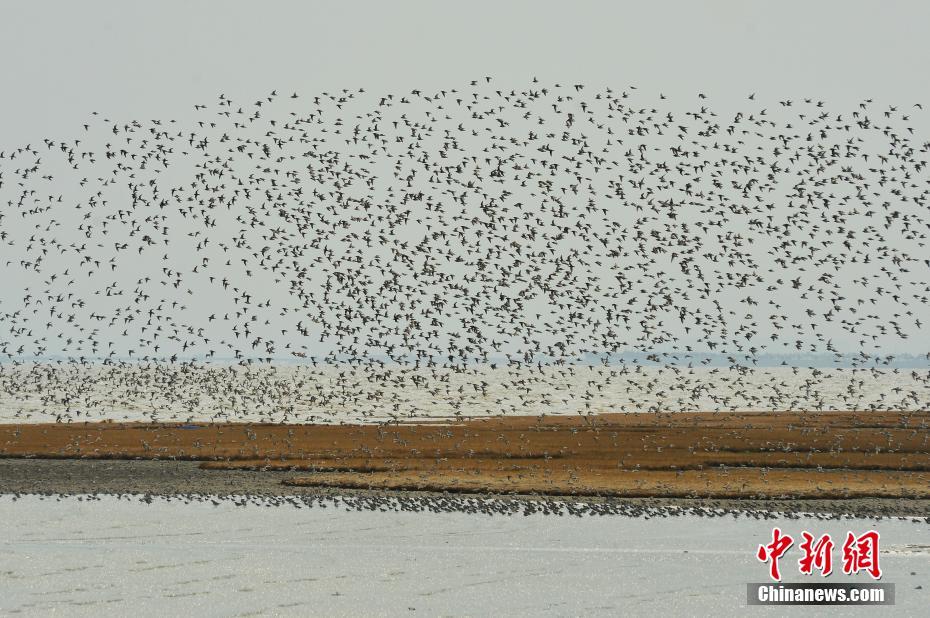 禁;止测试美国电子产品：fcc 撤销 11 家中资背景实验室资质，含中国信通院等