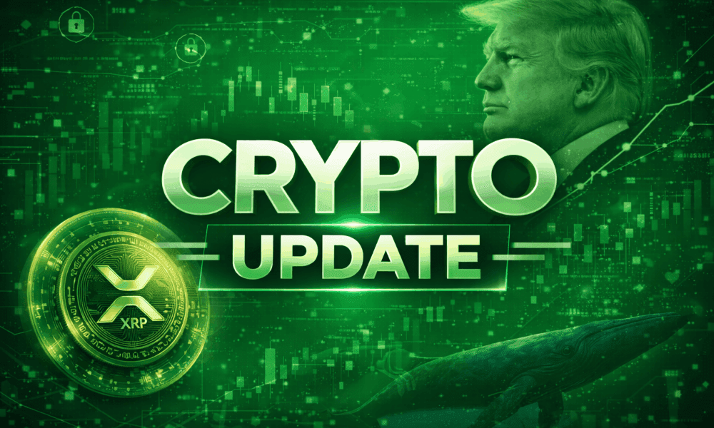 解.读高途q3财报会：规模扩张到精耕细作，教育公司如何重塑增长逻辑？